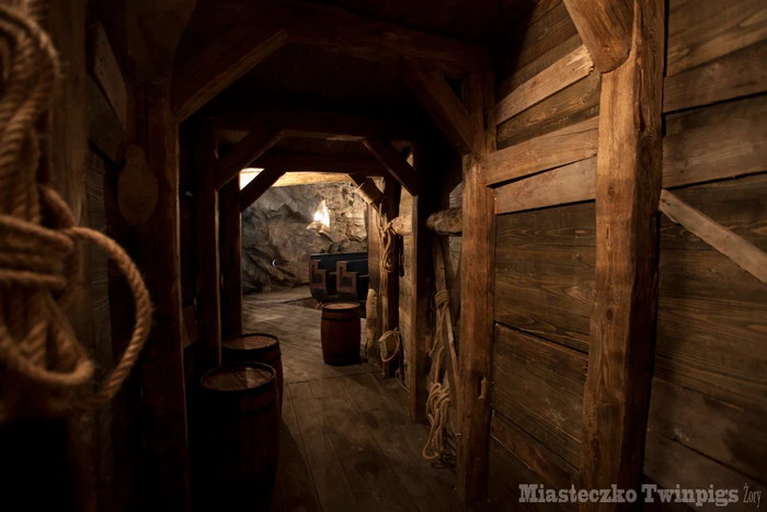 Mysterious Underground in 5D 5D Film - image 3